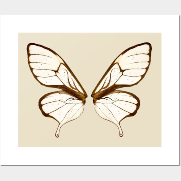 Butterfly wings Wall Art by Sticker deck